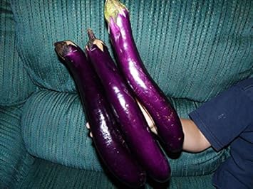 Purple Eggplant Seeds for Planting - 100 Pcs pcs