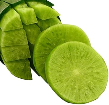 Green Radish Raphanus sativus seeds for garden planting
