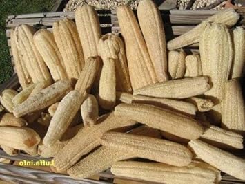 100 Pcs