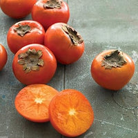 Blue sausage fruit seeds