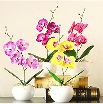 100 Pcs