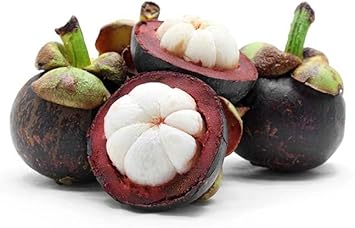 Mangostan Fruit Seeds for Planting - Cultivating Rare and Exquisite Mangosteen Fruits, Heirloom Seeds