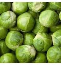 Catskill Brussels Vegetable Seeds for Planting - 100 Pcs pcs