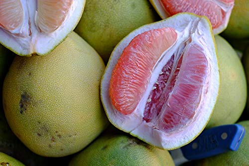 100 Pcspcs Davao Pomelo Fruit Seeds - Unique Citrus Fruit for Home Gardens 100 Pcs pcs