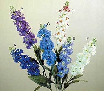Blue Gilly Flower Seeds for Planting, 100 pcs