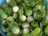 Green & White Eggplant Seeds for Planting - 100 Pcs pcs