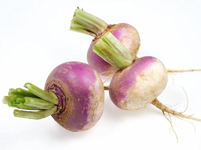 Turnip Salgam vegetable seeds for planting - heirloom & Non-GMO garden Seeds