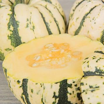Cucurbita Vegetable Seeds for Planting - 100 Pcs pcs