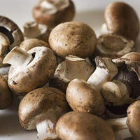 Mushroom Seeds for Planting, Light Brown, 100 Pcs pcs