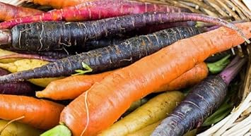 Mixed Carrot Seeds for Planting - 100 Pcs pcs