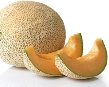 New Fresh 50pcs Cream Yellow Cantaloupe Fruit Seeds - Delicious, Smooth Yellow Cantaloupes for Your Orchard 100 Pcs pcs