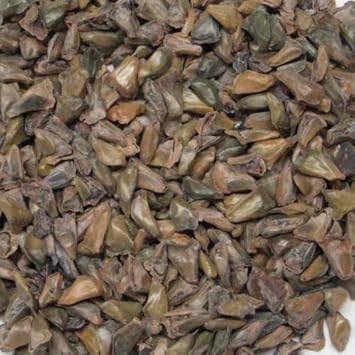 Organic Abies Koreana Plant Seeds for Planting – Heirloom, Non-GMO for planting in your garden.