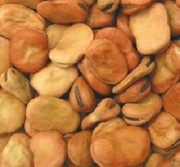 Brown Bean Vegetable Seeds for Planting heirloom & Non-GMO Seeds