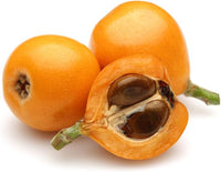 Loquat Eriobotrya japonica seeds for garden