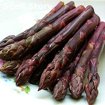 100 Pcs