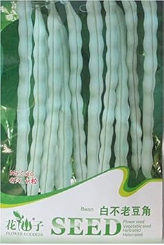 White Bean Vegetable Seeds for Planting - heirloom & Non-GMO Seeds