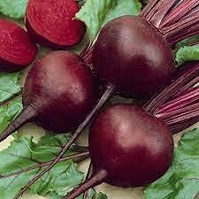 Beet Beta vulgaris seeds for garden planting