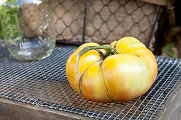 Yellow Tomato Seeds for Planting - Unique Variety