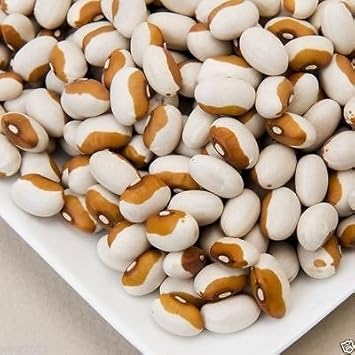 100 Pcs