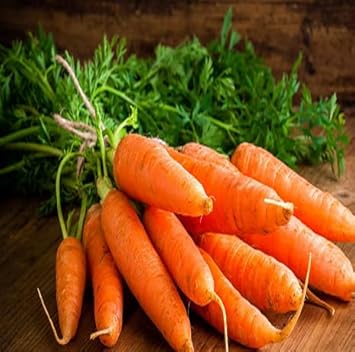 Orange Carrot Seeds for Planting - 100 Pcs pcs