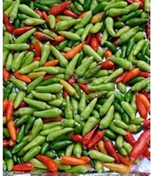 100 Pcs