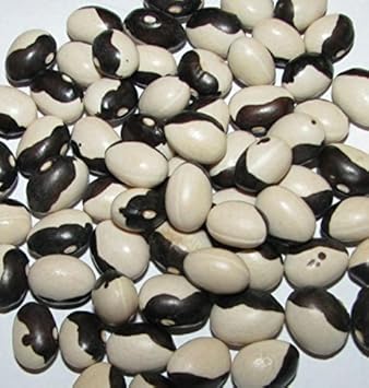 100 Pcs