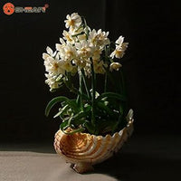 Cream Narcissus Flower Seeds - 100 pcs for planting in your garden.
