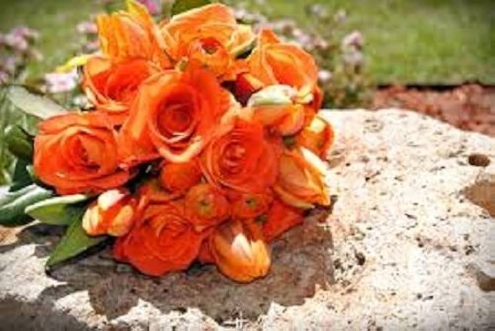 Orange Eustoma or LISIANTHUS Flower Seeds for Planting-Heirloom & Non-GMO Seeds for planting for planting in home garden