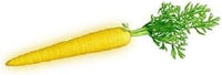 Yellow Carrot Seeds for Planting - 100 Pcs pcs
