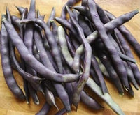Purple Bean Vegetable Seeds for Planting - 100 Pcs pcs