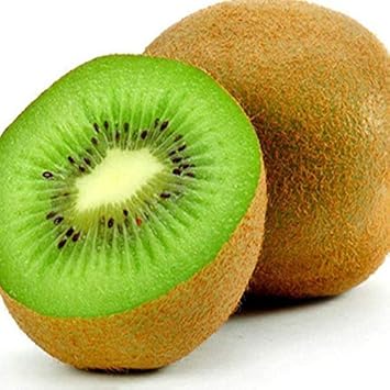 Kiwano Fruit Seeds - A Spiky and Refreshing Melon for Your Garden 100 Pcs pcs