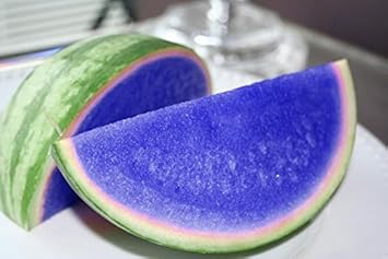 Blue Watermelon Fruit Seeds for Planting - Growing Unique Watermelons, Heirloom Seeds