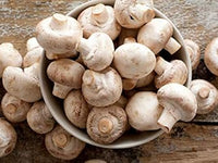 Mushroom Seeds for Planting, Light Brown, 100 Pcs pcs