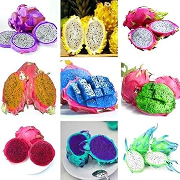 100 Pcs