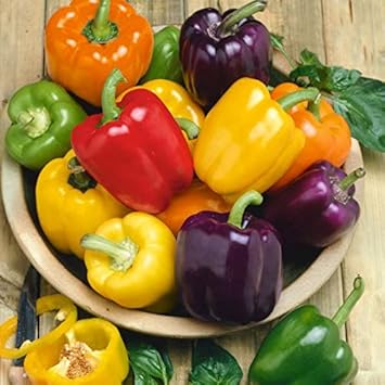 Mixed Bell Vegetable Seeds for Planting-Heirloom & Non-GMO Seeds for planting