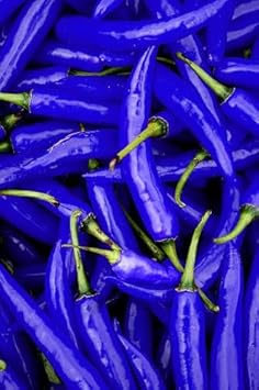 Chili Pepper Capsicum annuum seeds for garden planting
