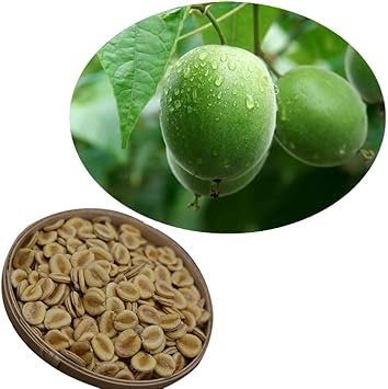 LuoHan Guo Fruit Seeds, Unique Sweetening Fruit with Medicinal Qualities 100 Pcs pcs