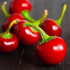 Basque Nora Pepper Capsicum annuum seeds for home garden planting