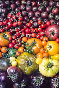 Multi-color tomato Solanum lycopersicum seeds for planting in home garden