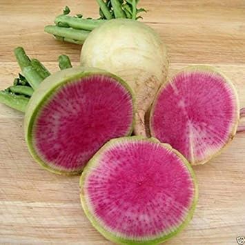 Pink Radish Vegetable Seeds for Planting, heirloom & Non-GMO Seeds