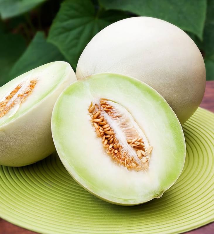White cantaloupe melon seeds for home gardens