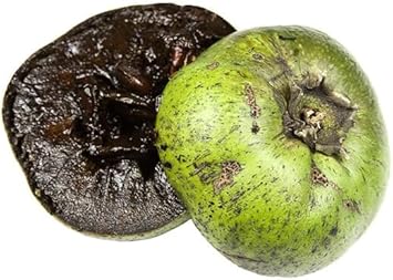 Digyna sapote fruit seeds
