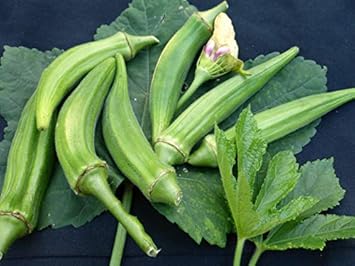 Green Clemson leafy seeds for garden planting