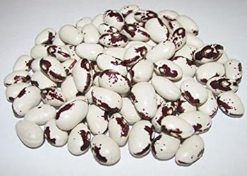 100 Pcs