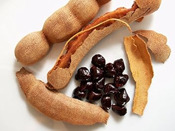 Tamarind Tamarindus indica for planting in tropical garden