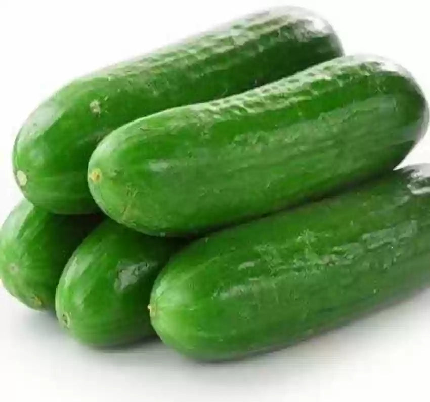 Heirloom Cucumber School Baby F1 Seeds or Cucumis sativus, Organic Vegetable Seeds for Planting