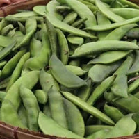 Runner Bean Phaseolus coccineus seeds for vertical garden planting