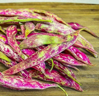 Pink White Bean Pinto Vegetable Seeds for Planting heirloom & Non-GMO Seeds