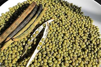Green Mung Bean Vegetable Seeds for Planting