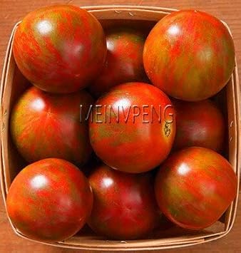 Red Tomato Seeds for Planting - Classic Variety - heirloom & Non GMO Seeds